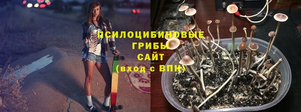 мяу мяу мука Вяземский