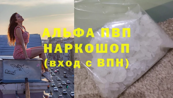 мяу мяу мука Вяземский