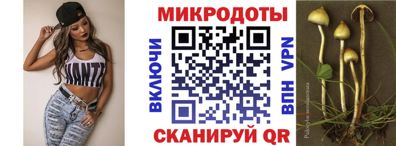 Псилоцибиновые грибы мухоморы  Новосибирск 