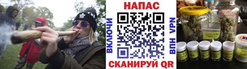 сайты даркнета клад  Новосибирск  Канабис сатива 